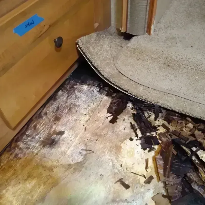 Wood Floor Water Damage in Mount Sterling, IL